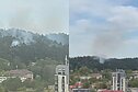 Sostinės Antakalnio rajone užsidegė miško paklotė