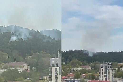В столичном районе Антакальнис загорелась лесная подстилка