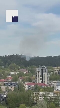Sostinės Antakalnio rajone užsidegė miško paklotė