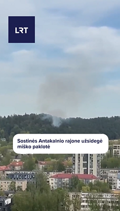 Sostinės Antakalnio rajone užsidegė miško paklotė