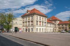 LNDM Radvilų rūmų dailės muziejus