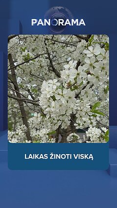 Svarbiausios gegužės 5-osios naujienos