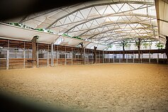 Lion Ceccah aplankė ypatingą Vienos vietą: čia baletą šoka žirgai