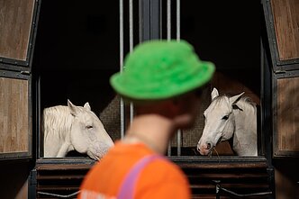 Lion Ceccah aplankė ypatingą Vienos vietą: čia baletą šoka žirgai