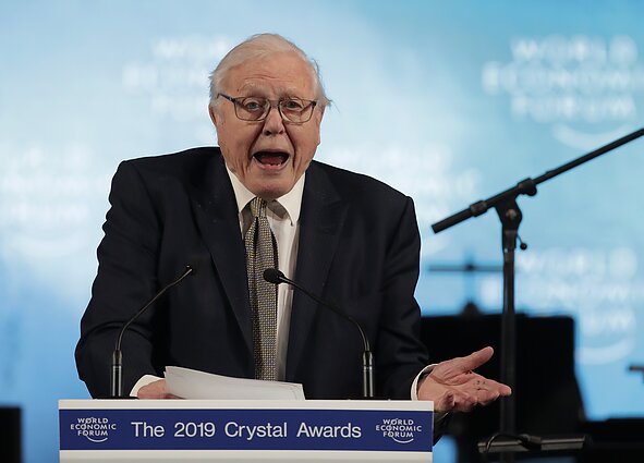 Davidas Attenborough