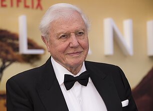 Davidas Attenborough