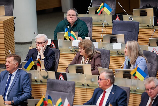 Demokratų frakcija „Vardan Lietuvos“, Agnė Širinskienė, Zigmantas Balčytis, Rima Baškienė, Jekaterina Rojaka
