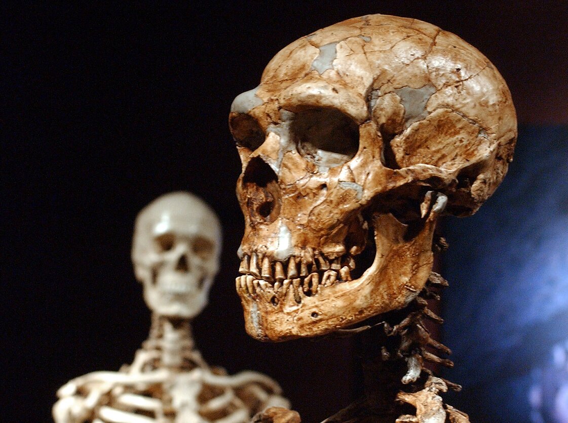 Neandertalietis Neandertalietis