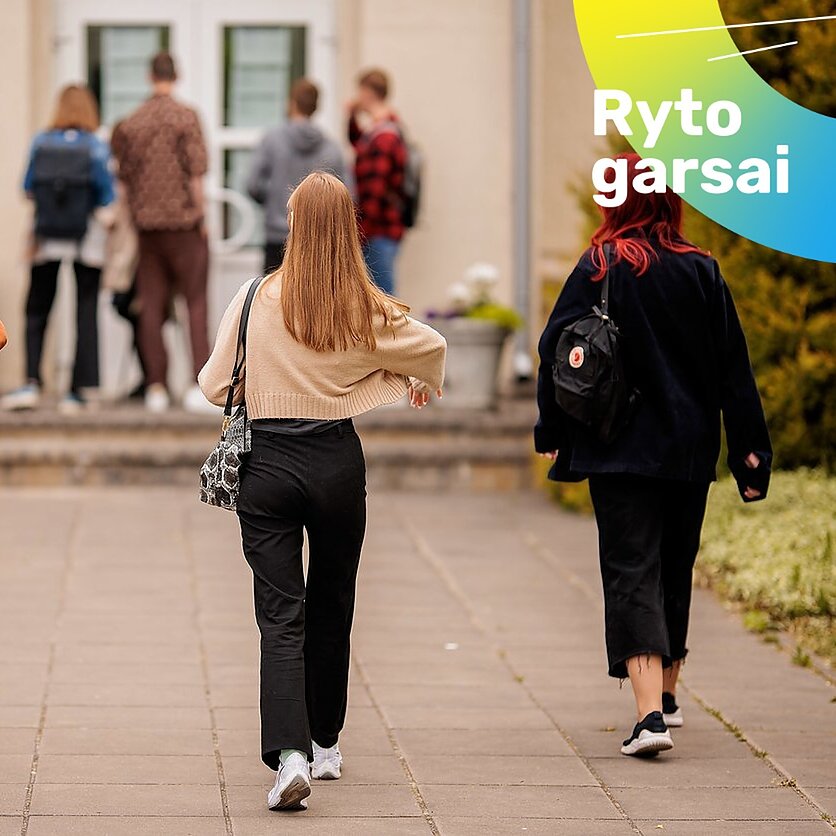 D. Umbraso / LRT nuotr., Mokykla. Asociatyvi 