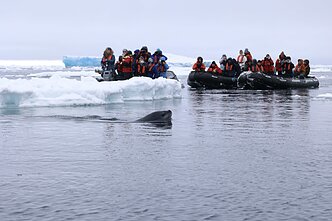 Kelionė kruiziniu laivu „MV Hondius“