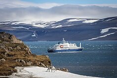 Kelionė kruiziniu laivu „MV Hondius“
