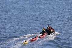 Kelionė kruiziniu laivu „MV Hondius“