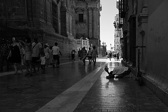 Viltis. Malaga, 2025
