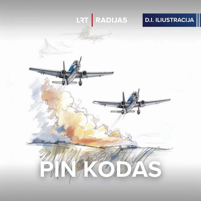 D.I. iliustracija, Brangstantys lėktuvų bilietai lietuvių nejaudina - keliauja kaip įprasta