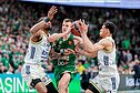 Eurolyga: Kauno „Žalgiris“ – Stambulo „Fenerbahče“