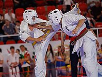 2026 m. Europos kiokušin karatė čempionatas Batumyje 2026 m. Europos kiokušin karatė čempionatas Batumyje