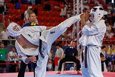 2026 m. Europos kiokušin karatė čempionatas Batumyje 2026 m. Europos kiokušin karatė čempionatas Batumyje