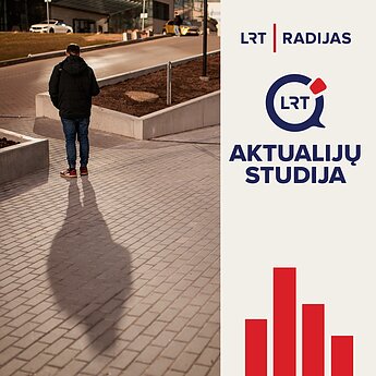 Mauricas apie vienatvės įtaką demografijai: turime nenugramzdinti jaunimo į virtualų pasaulį