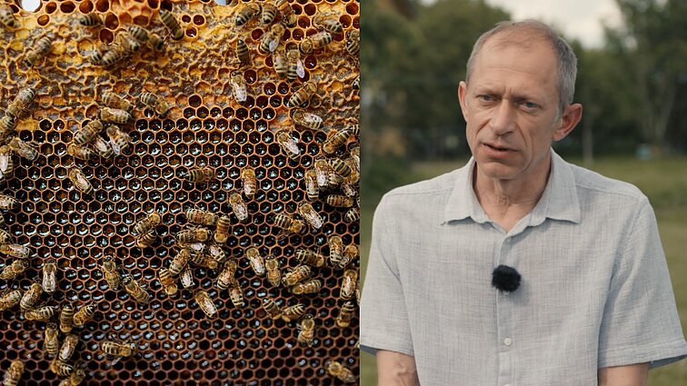 Apmaudą dėl gadinamo medaus jaučiantis Arūnas: dėl pelno sumaišo su sirupu ir pardavinėja