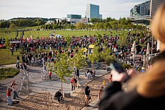 Vilniaus „Ryto“ sutiktuvės prie Baltojo tilto