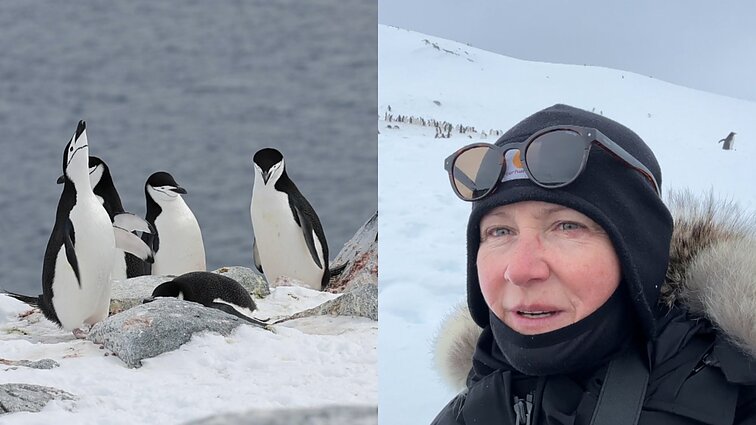 Antarktidoje pingvinus stebėjusi Eglė: vaikštant čia negalima palikti pėdų
