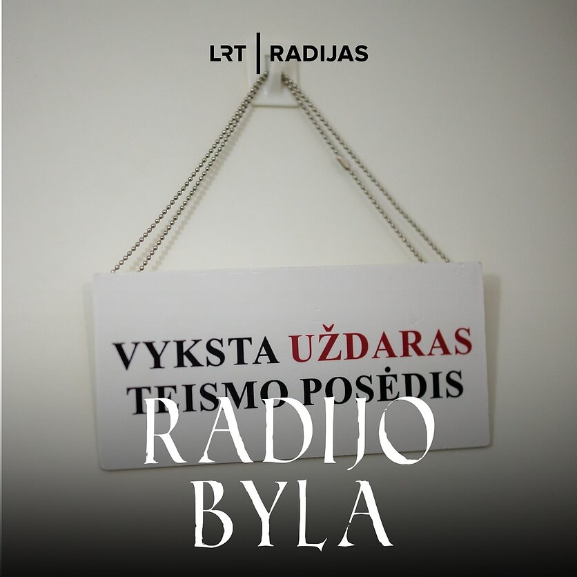 D. Umbraso / LRT nuotr., Ketinate bylinėtis teisme: kiek tai kainuos?