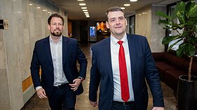 Laba diena, Lietuva