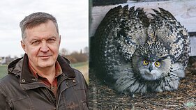 Labas rytas, Lietuva