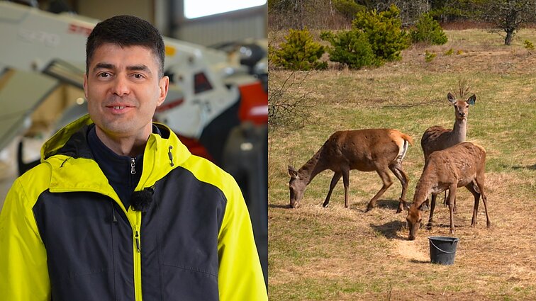 Apleista žemė atgimė naujam gyvenimui: Valentas įkūrė ūkį, kuriame augina net elnius
