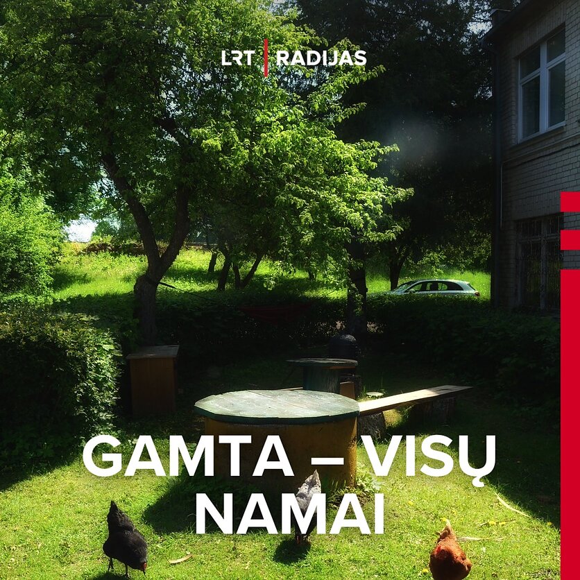 M.Luckos nuotr.  , Antazavės gamtininkų ir menininkų namuose