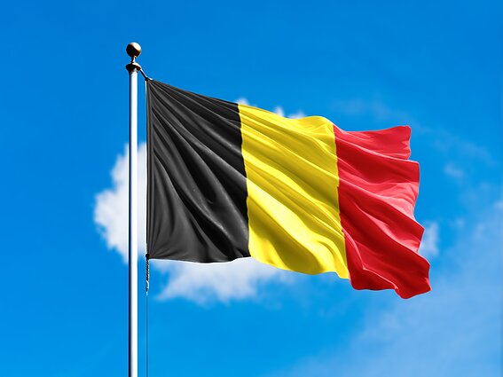 Belgijos vėliava Belgijos vėliava