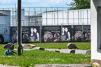 Vokietijoje policija nušovė pabėgusį tigrą Vokietijoje policija nušovė pabėgusį tigrą