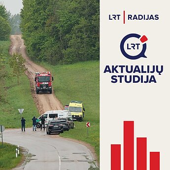 Kumpis apie įskrendančių dronų valdymą: vyksta stumdymasis tarp pasieniečių ir kariuomenės