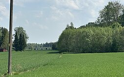 Estijoje numuštas įskridęs dronas