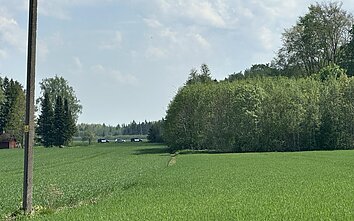 Estijoje numuštas įskridęs dronas Estijoje numuštas įskridęs dronas