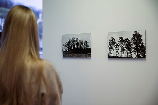 Wystawa Anny Szprynger „Echo / Aidas"
