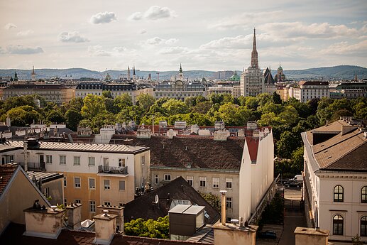 Austrija, Viena