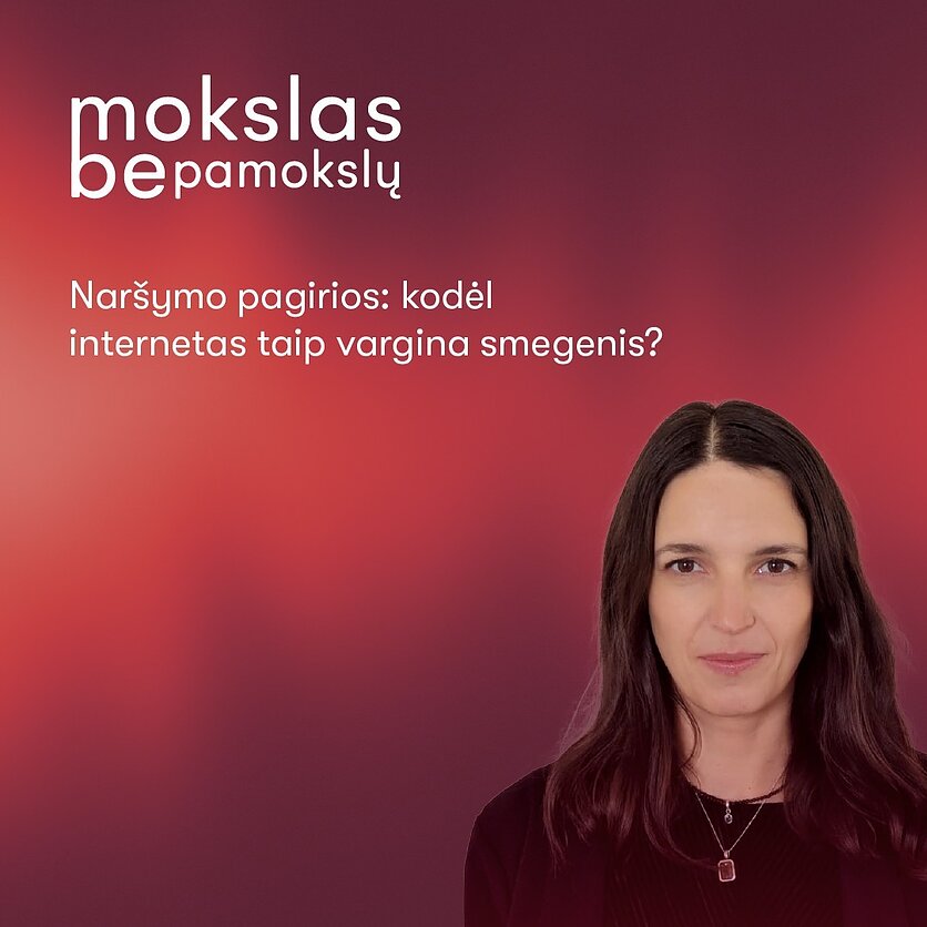 Naršymo pagirios: kodėl internetas taip vargina smegenis?