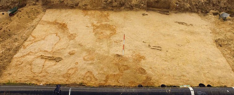 88 pav. Bendras Kakliniškių kapinyno tiriamo ploto vaizdas nuvalius įžemio paviršių (iš Š pusės). 