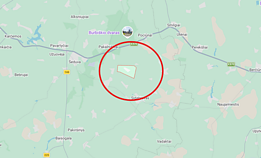 Netoli Rokonių kaimo nukrito lėktuvas, pilotas žuvo