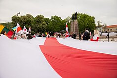 Solidarumo mitinge Vilniuje išreikštas palaikymas Baltarusijos politiniams kaliniams Solidarumo mitinge Vilniuje išreikštas palaikymas Baltarusijos politiniams kaliniams
