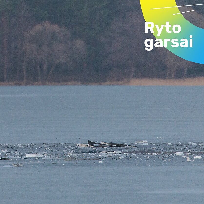 V. Raupelio / LRT nuotr., Įtariama, kad sprogo įskridęs dronas Varėnos rajone