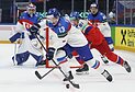 Slovakijos ledo ritulio rinktinė