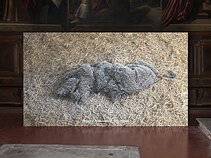 „Carmen: Utopias of Belonging“ „Carmen: Utopias of Belonging“