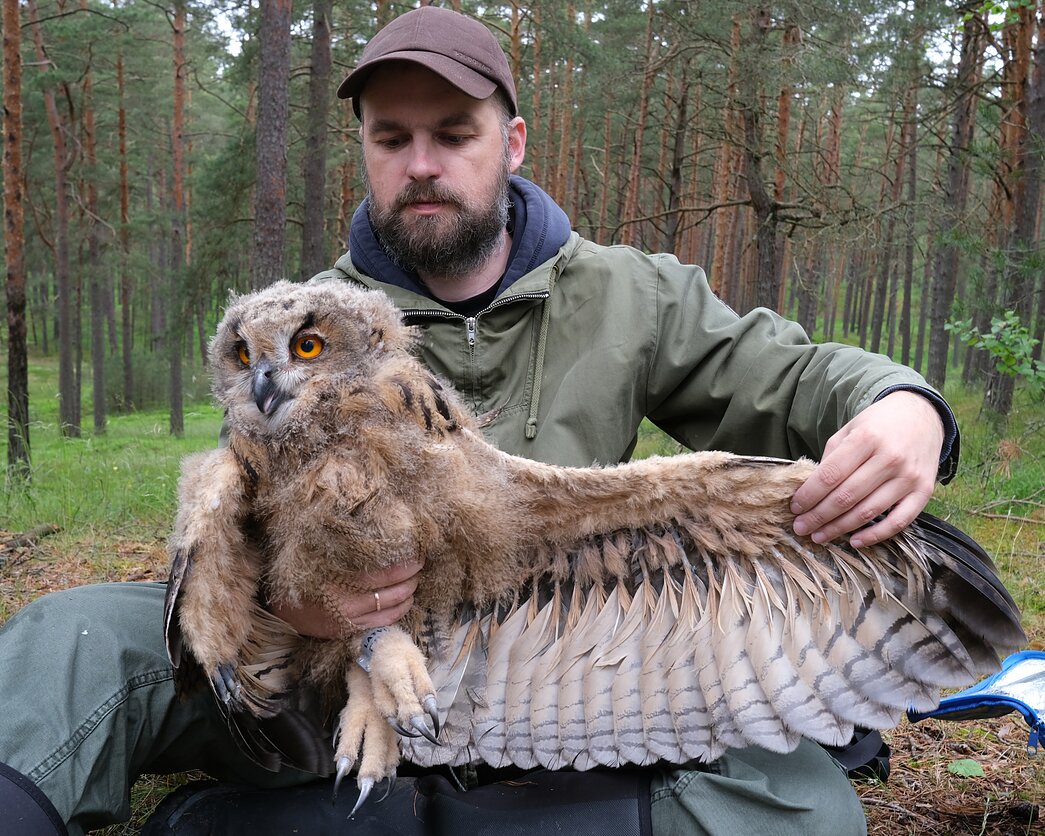 Pēteris Daknis