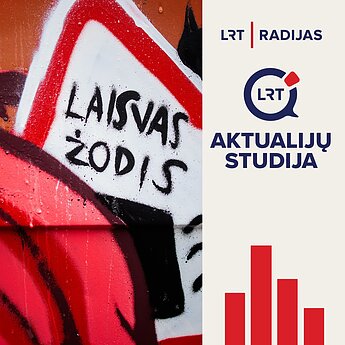 Čmilytė-Nielsen apie galutinį LRT įstatymo projektą: nieko nepagerino, šiek tiek pablogino