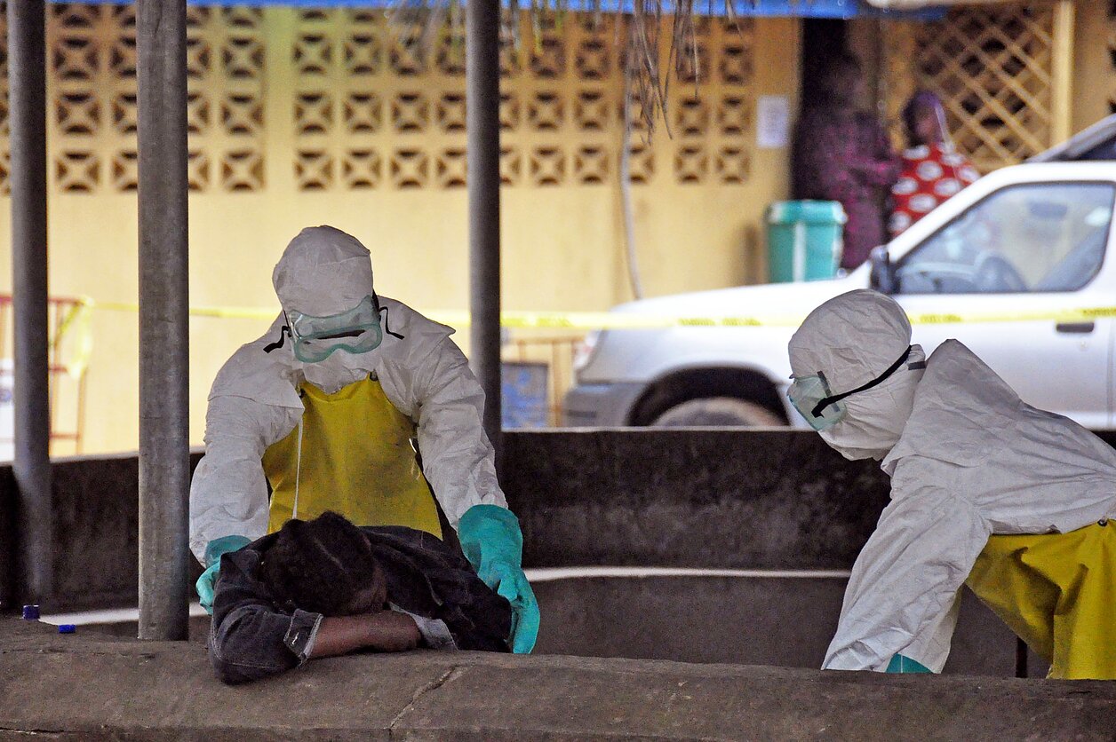 Ebola virusas Ebola virusas