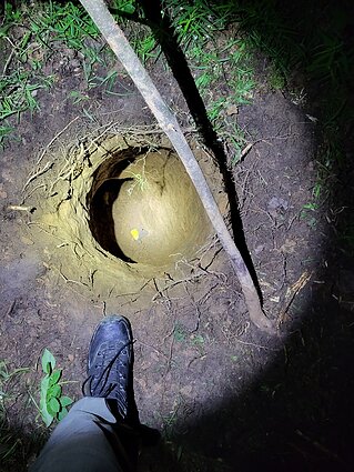Pasieniečiai apgręžė 38 migrantus, į Lietuvą iš Baltarusijos patekusius požeminiu urvu Pasieniečiai apgręžė 38 migrantus, į Lietuvą iš Baltarusijos patekusius požeminiu urvu