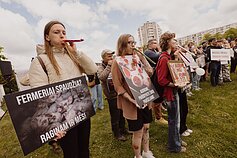 Prie VMVT – dar vienas protestas prieš paršelių kastraciją be nuskausminamųjų Prie VMVT – dar vienas protestas prieš paršelių kastraciją be nuskausminamųjų