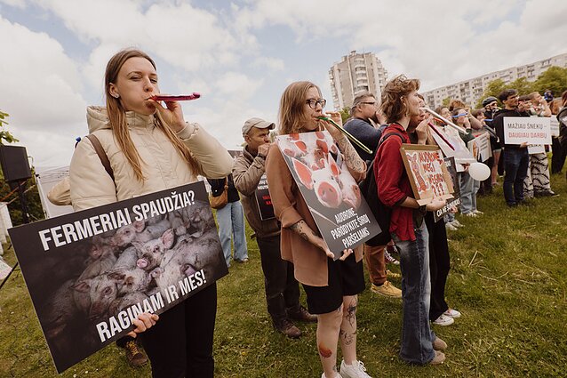 Prie VMVT – dar vienas protestas prieš paršelių kastraciją be nuskausminamųjų Prie VMVT – dar vienas protestas prieš paršelių kastraciją be nuskausminamųjų